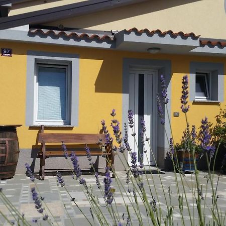 Apartma Brnistra Ginestra Копер Екстер'єр фото